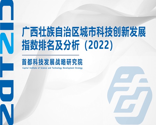 和老外插逼视频【成果发布】广西壮族自治区城市科技创新发展指数排名及分析（2022）